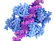The Future of Precision Oncology