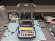 Easy-to-Use Scale