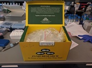 Transfection Made Easy