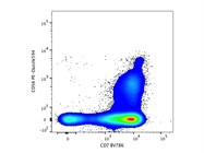 Nice CD7 Antibody for Natural Killer Cells