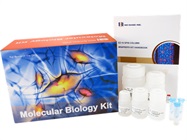 Plasmid DNA Miniprep Kits