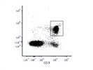 Good Mouse CD4 Antibody