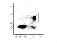 Good Mouse CD4 Antibody