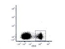 Very Good Mouse CD3 Antibody