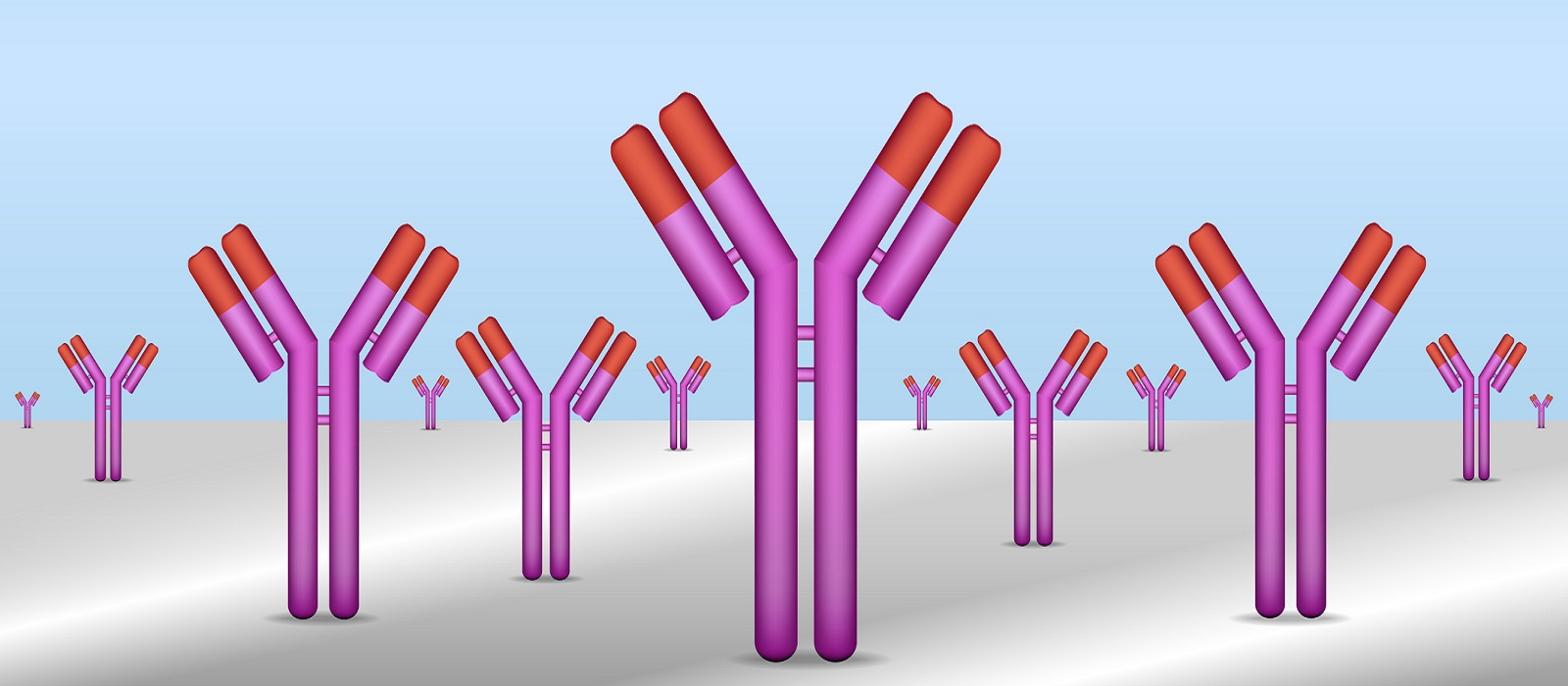  Improving Reproducibility: Best Practices for Antibodies