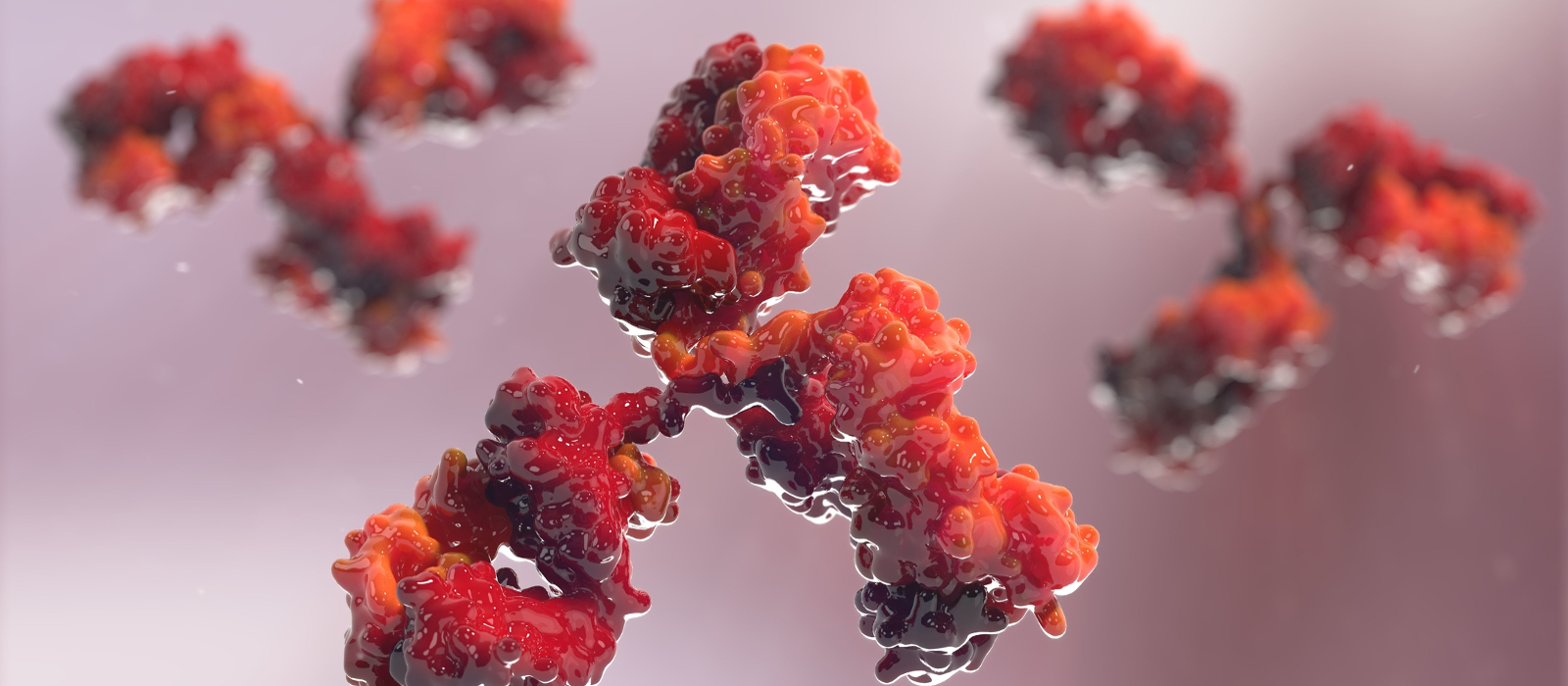  Video: Why are recombinant antibodies important?