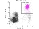 PE/Cy7 Anti-Human CD21 Antibody