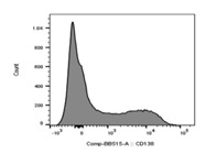 CD138 Antibody with Great Specificity
