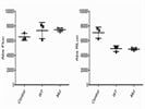 Detection of Luciferase from Firefly or Renilla