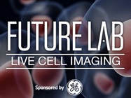 Environmental Control for Live Cell Imaging Applications