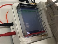 Portable Bento Lab for Field Applications.