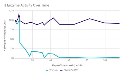 trypsin