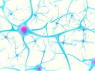 Gene-Expression Studies in Neurodegenerative Disease