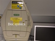Best Gel Doc System