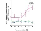 Dual-Luciferase Reporter Assay System