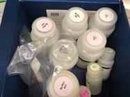 Easy-to-Use Kit to Extract DNA from Bacteria