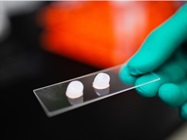TissueSpec® ECM Hydrogels