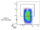 Great Antibody to Detect Granzyme B Expression in T Cells