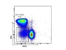 Pacific Blue Anti-Mouse CD19 Antibody