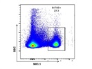 Brilliant Violet 785 Anti-Mouse NK-1.1 Antibody