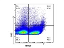 FITC Anti-Mouse MHCII Antibody