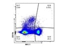 APC Anti-Mouse/Human CD11b Antibody