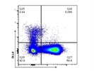 APC Anti-Mouse DLL4 Antibody