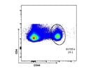Brilliant Violet 785 Anti-Mouse/Human CD44 Antibody