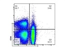 PE/Cy7 Anti-Mouse CD94 Antibody