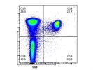 APC Anti-Mouse CD5 Antibody