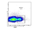 Brilliant Violet 510 Anti-Mouse CD25 Antibody