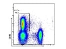 FITC Anti-Mouse CD40 Antibody