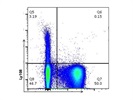 APC Anti-Mouse Ly108 Antibody