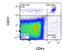 Successful Detection of Tumour Infiltrating T cells