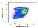 The Antibody Identifies CD21+ B Cells Very Well
