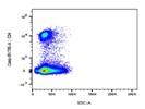 The Antibody Identifies CD4+ Cells Very Well