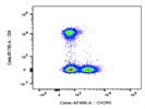 The Antibody Stains CXCR5+ Cells in the Lymph Nodes Very Well