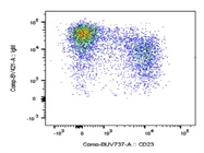 The Antibody Stains IgM+ B Cells Very Well
