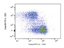 The Antibody Identifies CD5+ Cells Very Well