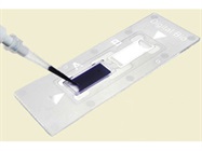 2-Chip Disposable Hemocytometer
