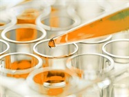 Sensitive & Flexible Oxytocin Detection