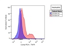 PE Anti-Mouse CD120b (TNF R Type II/p75) Antibody