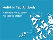 His Tag Antibody, Mouse Mab