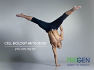 Highly Validated Cell Biology Antibodies