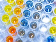 Finding the Perfect Pipette