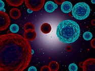 Characterization of Extracellular Vesicles with Nanoscale Flow Cytometry