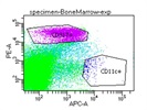 Decent Anti-CD317 Antibody, Works