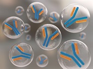 Choosing the Right AntibodyWhere to Begin?