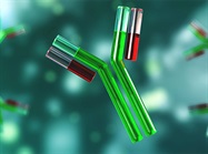 How to Choose between Monoclonal and Polyclonal Antibodies