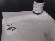 Easily Mounts Slides With No Bubbles, Preserves Antibody, Curing Is Not Very Good